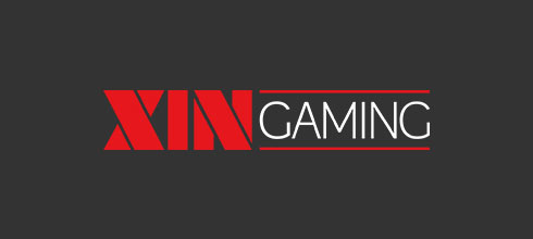 Get to Know XIN GAMING
